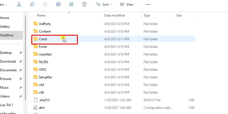 vào thư mục kích hoạt